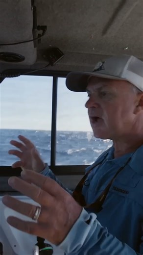 64K views · 296 reactions | The EAC is chnaging!. This week we look at the bigger picture on Australia's East Coast 1pm Sunday Fish Forever finale!!! | Al McGlashan | Facebook