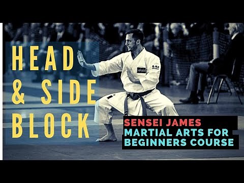 Martial Arts for Beginners Lesson: Cobra Kai Head & Side Block