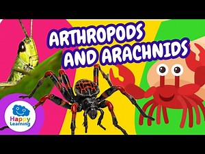 🐜 The Fascinating World of Arthropods | Educational Videos for Children | Happy Learning - Videos For Kids