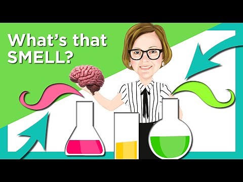 The Science of Smell