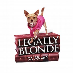 Announcing the Cast for The Cathedral School's 2024 Production 'Legally Blonde'! LEADS Elle Woods: Mani P. Paulette: Sheanah D. Emmett: Jesse B. Callahan: William B. Vivienne: Lily V. Warner: Aaron D. Enid: Liliana R. Margot and Specialist Dancer: Mia C. Serena: Riya S. Pilar: Yasmin L. Brooke Wyndham: Siena B. Kyle: Ben H. SPECIALIST DANCERS Chris N. Lilly J. Lucy-Rose G. Ella H. Mia C. Olivia K. Willow M. Chloe T. *Dance Captain ENSEMBLE Amelia W. Ashley S. Ashlin L. Bridget F. Chloe C. Chloe 