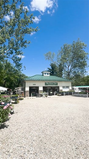 The Citrus Tree is a unique feature in Springfield Township. Their locally grown produce and beautiful flowers make this a great place to explore! | Springfield Township