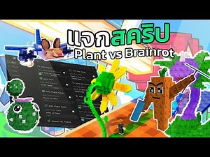 Roblox แจกสคริปฟรีแมพ Plants Vs Brainrots ทำอีเว้นท์ | Roblox Script Plants Vs Brainrots AutoEvents