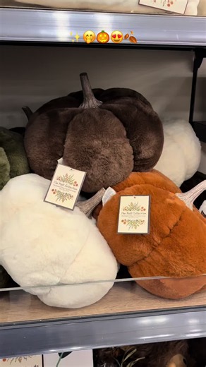 🎃 We get it… it’s only July! But with these flying off the shelves faster than you can say pumpkin spice, we had to share now before they vanish! 💨🧡 ✨ £5.99 Pumpkin Faux Fur Doorstops – available in 4 cosy colours >> Product code: 510601 RUN, do not walk! ✨ Free Click & Collect available from your local Range store - order online & collect in as little as 1 hour! #pumpkin #pumpkinspice #autumn2026 #summerween #pumpkindecor