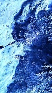 Giant strong octopus hit by a spear #fbreels #viralreelsfb #spearfisherslife #viralshorts #fishing #virals #fishingislife #viralvideo #spearfishing | Spearfishing channel