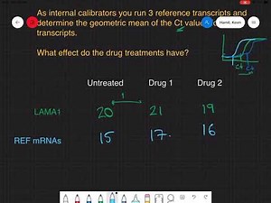 Delta delta ct calculations qPCR