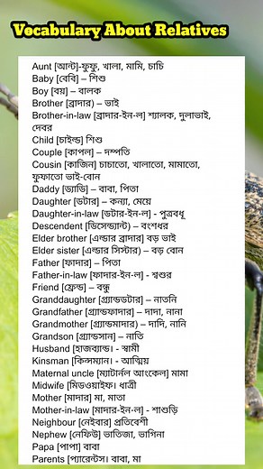 Vocabulary About Relatives #English #vocabulary #englishvocabulary | Keep Learning English