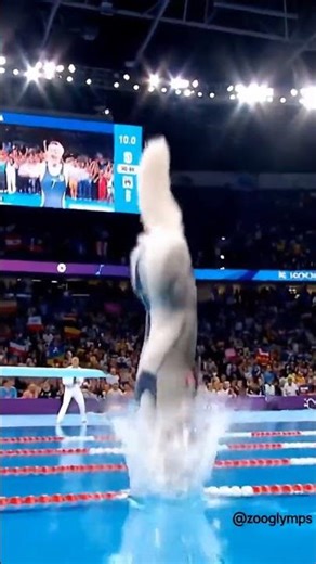 Husky Hits a Perfect Pike! #Olympics #Diving #Husky