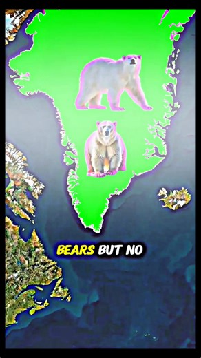 Look at Greenland on a world map and it looks massive — sometimes even bigger than Africa. But that’s a map illusion. Greenland is actually about 836,000 square miles, far smaller than it appears. It’s part of the Kingdom of Denmark, yet it sits much closer to Canada than Europe and is geographically part of North America. Here’s where it gets extreme. Nearly 80% of Greenland is buried under ice, making it the second-largest ice sheet on Earth after Antarctica. If that ice ever melted completely