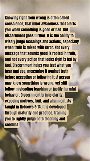Discernment vs. Conscience: Understanding Truth in Teaching and Action