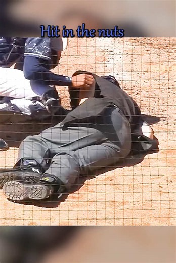 Hit in the nuts #baseball #mlb