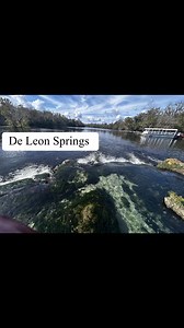 De Leon Springs aka "Ponce De Leon Springs State Park" is not just a swimming hole or spring. This state park has a spring and a small waterfall, like an overflow. However, it's also home to many historical artifacts demonstrating how people lived in years past. For example, you can see the shell mounds that show where people lived. There are also remains of old sugar factories where enslaved Africans once worked. Behind the restaurant, you can see the original mill wheel hub, mill machinery, an
