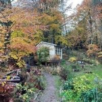 Sweden sees silent forests as sanctuaries from a noisy world