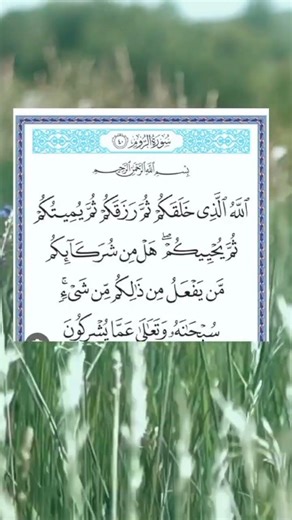 Subscriber follow me like