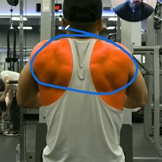 Ben Yanes on Instagram: "Want 30 FREE lessons on biomechanics? Comment "lesson" and I'll DM them to you!"