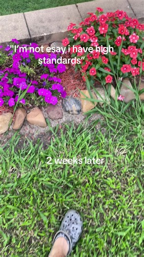 Funny Dirt Bike Fails and High Standards