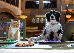 Cats & Dogs 3 Is Hitting Cinemas Nearly 20 Years After The First Film