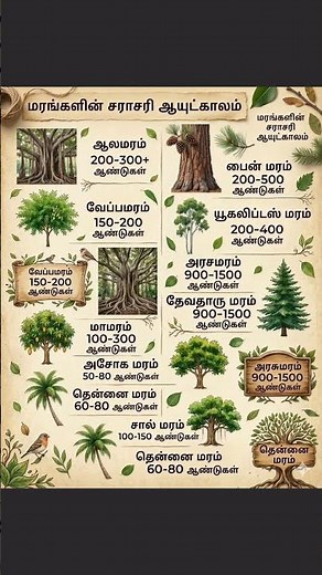 மரங்களின் சராசரி ஆயுட்காலம் #வேப்பமரம் #தென்னை #அரசமரம்