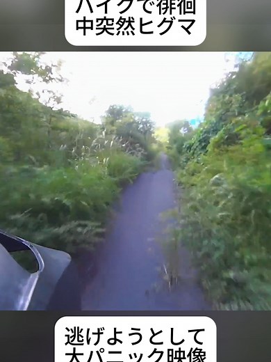 モトブログでの熊との遭遇体験