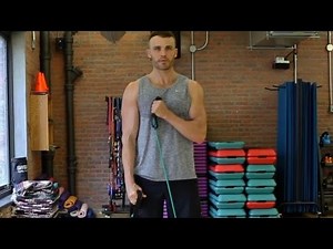 Biceps: Resistance Band Cross Body Hammer Curl