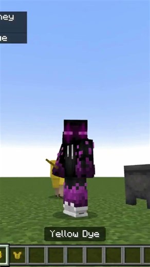 What if you could dye anything in Minecraft #minecraft