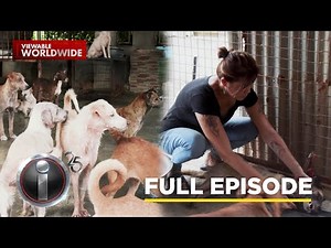 ‘Aspin,’ dokumentaryo ni Kara David (Full Episode) | I-Witness