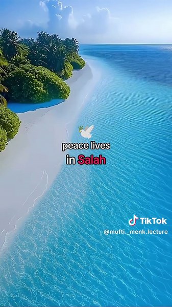 Inspiring Motivation from Mufti Menk