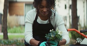 Cu Portrait African-american Female Planting Flowers Stock Footage Video (100% Royalty-free) 1059789233 | Shutterstock