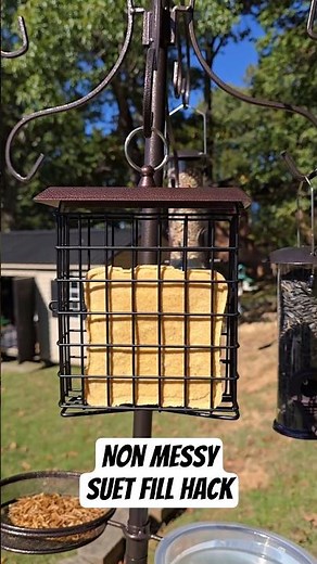 Suet Feeder Fill Trick #suet