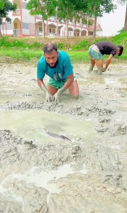 8.4M views · 10K reactions | মাছ পাওয়ার পর কি করলো 樂樂 | Mohammed Hanif F | Facebook