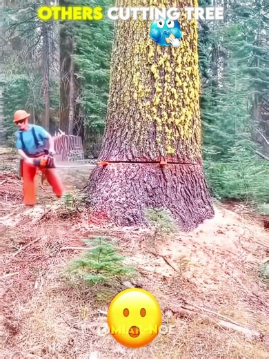 The Master of Precision: Professional Tree Cutting! 😱🪓