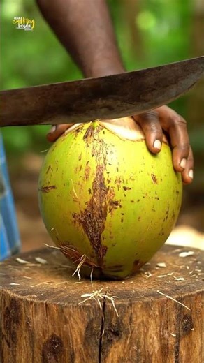 Coconut Cutting Like a Pro! 🥥✨