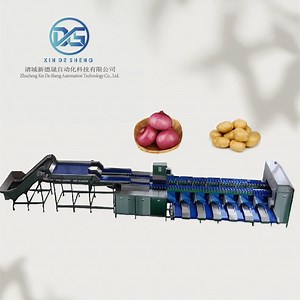 [Hot Item] Vegetable Sorting Machine, Dual-Channel Onion Grading and Selection Equipment