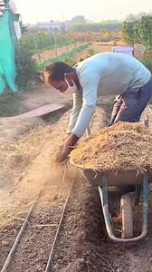 877K views · 84 shares | सब्ज़ी गार्डन पर मल्च डालने से पानी बचता है, खरपतवार कम होते हैं और मिट्टी उपजाऊ बन जाती है | The Hans Foundation Climate Action | Facebook