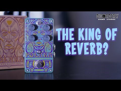 WHAT Makes the Digitech Polara Reverb Pedal So SPECIAL?