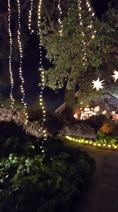 Having Thanksgiving Cocktails at the Turtle Bar and admiring all the Christmas Decorations! | Houmas House and Gardens