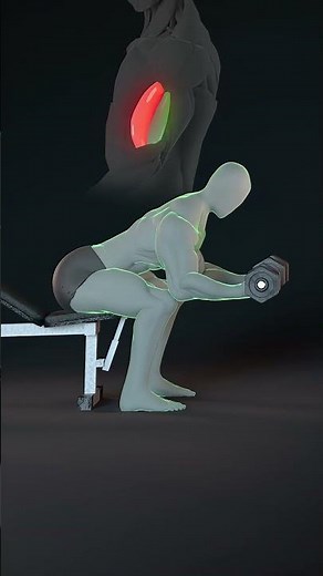 Long Head vs Short Head Biceps | Build Bigger, Fuller Arms (Science Explained)