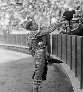 Vida y muerte de un torero. Cien años de la tragedia (1920-2020)