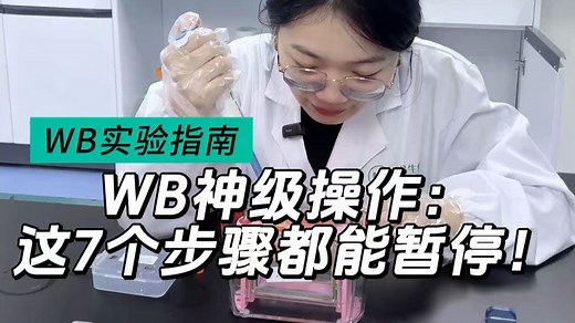 WB神级操作：这7个步骤都能暂停！