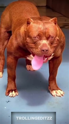 POWER OF TRANSFORMATION 💀#trollface #trolling #trolledit #viralvideo #trending