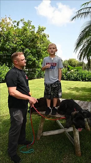 1.1K views | Hypoallergenic Dogs for Kids | Mr David - Dog Lover | Facebook