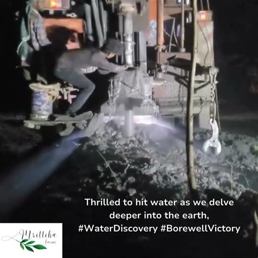 Borewell at mrittka farms