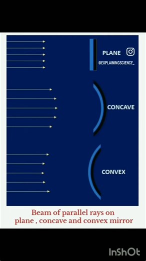 Concave vs Convex vs Plane Mirror: Light Rays Explained | FYP