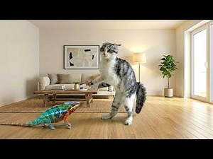 Funny Cat Videos 😂 | Hilarious Cat Compilation to Make You Laugh Out Loud & Relax 😺