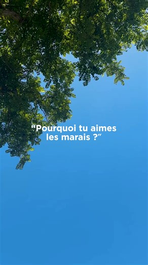 👉 Pourquoi on aime tant les marais salants de Guérande ? Pour leur lumière unique, leur calme profond, et notre sel Le Guérandais, récolté avec passion de génération en génération par nos paludiers. | Le Guérandais - Sel de Guérande