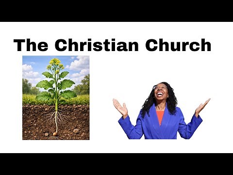 SUNDAY SCHOOL LESSON | Mark 4:26–32, Eph 4:4–6, 11–18| Working Together Makes Us Better| Feb 1, 2026