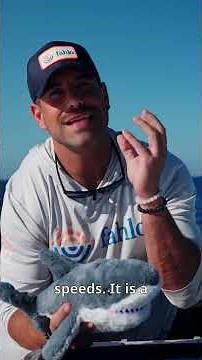 Blake Moynes Explains & Defines Differences of Common Shark Species!