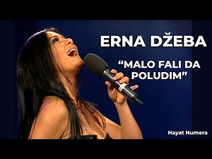 Erna Džeba – Malo fali da poludim | Hayat Numere
