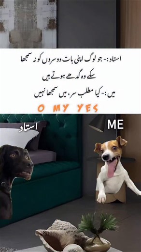 MEMES TIME on Instagram: "Follow kro Yaar Plz 🙏😂 #insta #instagram #instadaily #instagood #funnyvideos #funnyreels #funnymemes😂 #memes #comedy"