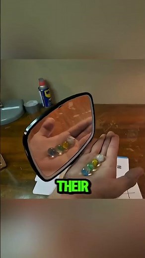 2+2 = 4 equals how much?